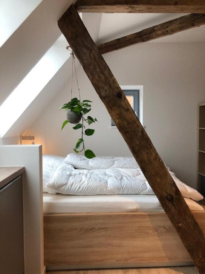 Hotel F-Ritz Schleswig Extérieur photo